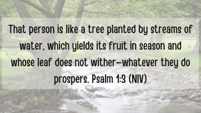 Psalm 1:3 Bible Verse of The Day